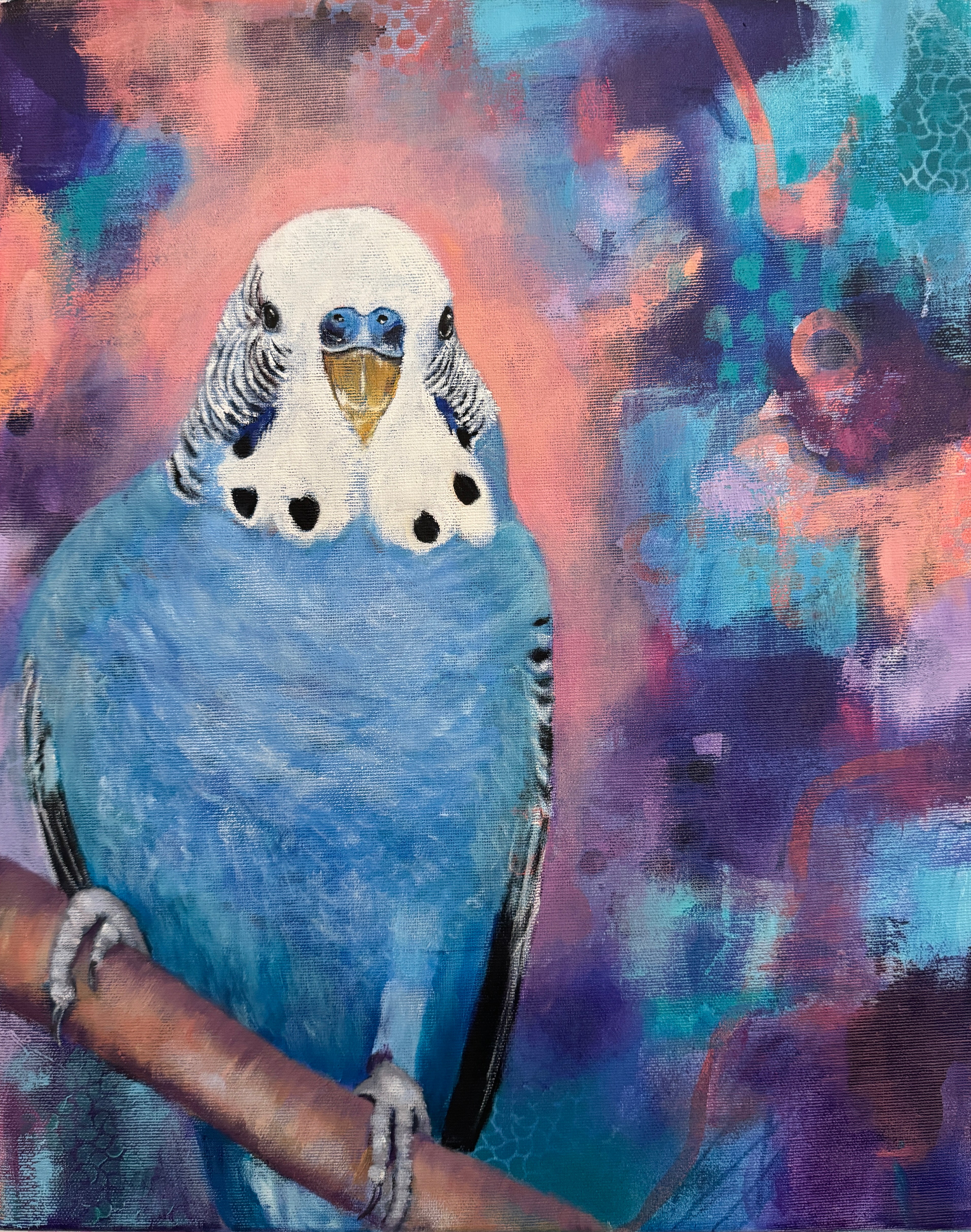 Colourful Mixed media painting of a budgie with abstract background.