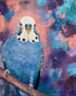 Colourful Mixed media painting of a budgie with abstract background.