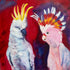 Colourful painting of Sulphur Crested Cockatoo and Major Mitchell Cockatoo on abstract background