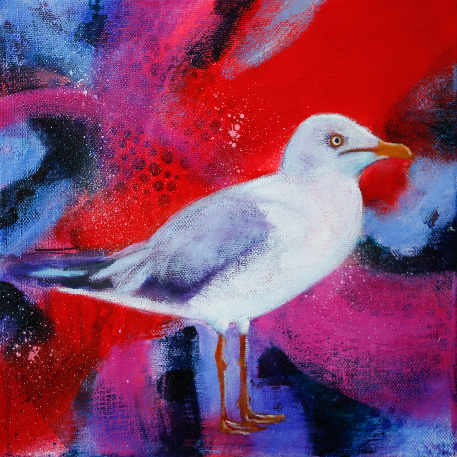 Colourful mixed media painting of a seagull with abstract background